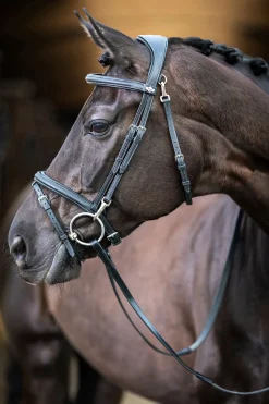 Discount lemieux Work Bridle Black
