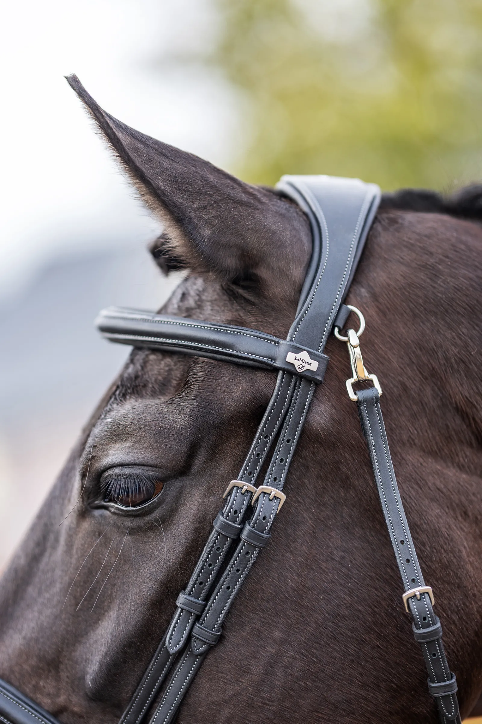 Discount lemieux Work Bridle Black