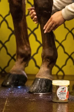 leovet Cellsius Kylmageeli Silver/Red