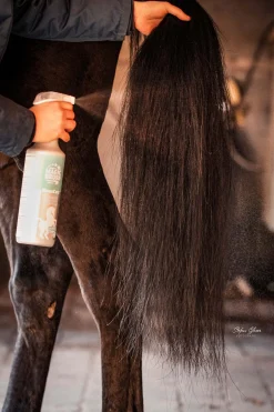 Hot magicbrush Manecare Kiillotussuihke, 1 Litra Grey