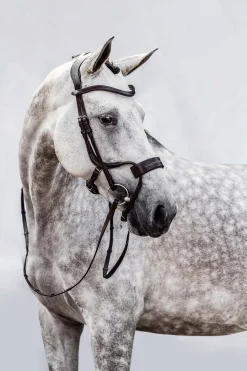 psofsweden Ps Of Sweden High Jump Estesuitset Brown