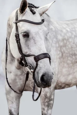 psofsweden Ps Of Sweden High Jump Estesuitset Brown