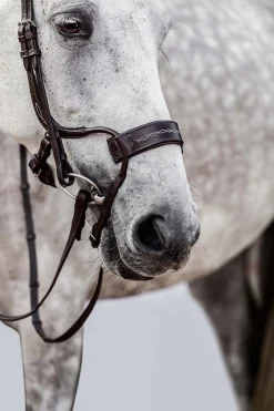 psofsweden Ps Of Sweden High Jump Estesuitset Brown