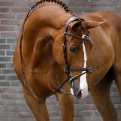 Clearance psofsweden Ps Of Sweden Stockholm Suitset Black