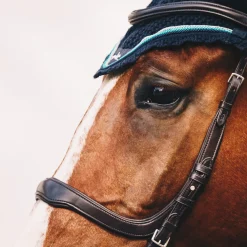 Discount schockemohle Equitus Delta -Suitset Black/Silver