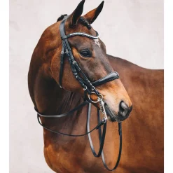 Best schockemohle Equitus Gamma Suitset Black/Patent Grey