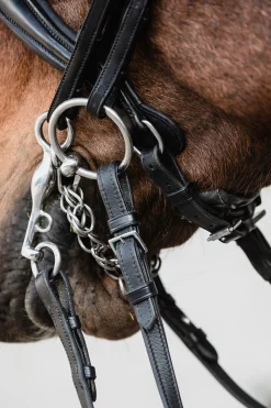Discount schockemohle Milton Anatomic Double Bridle Black/Silver