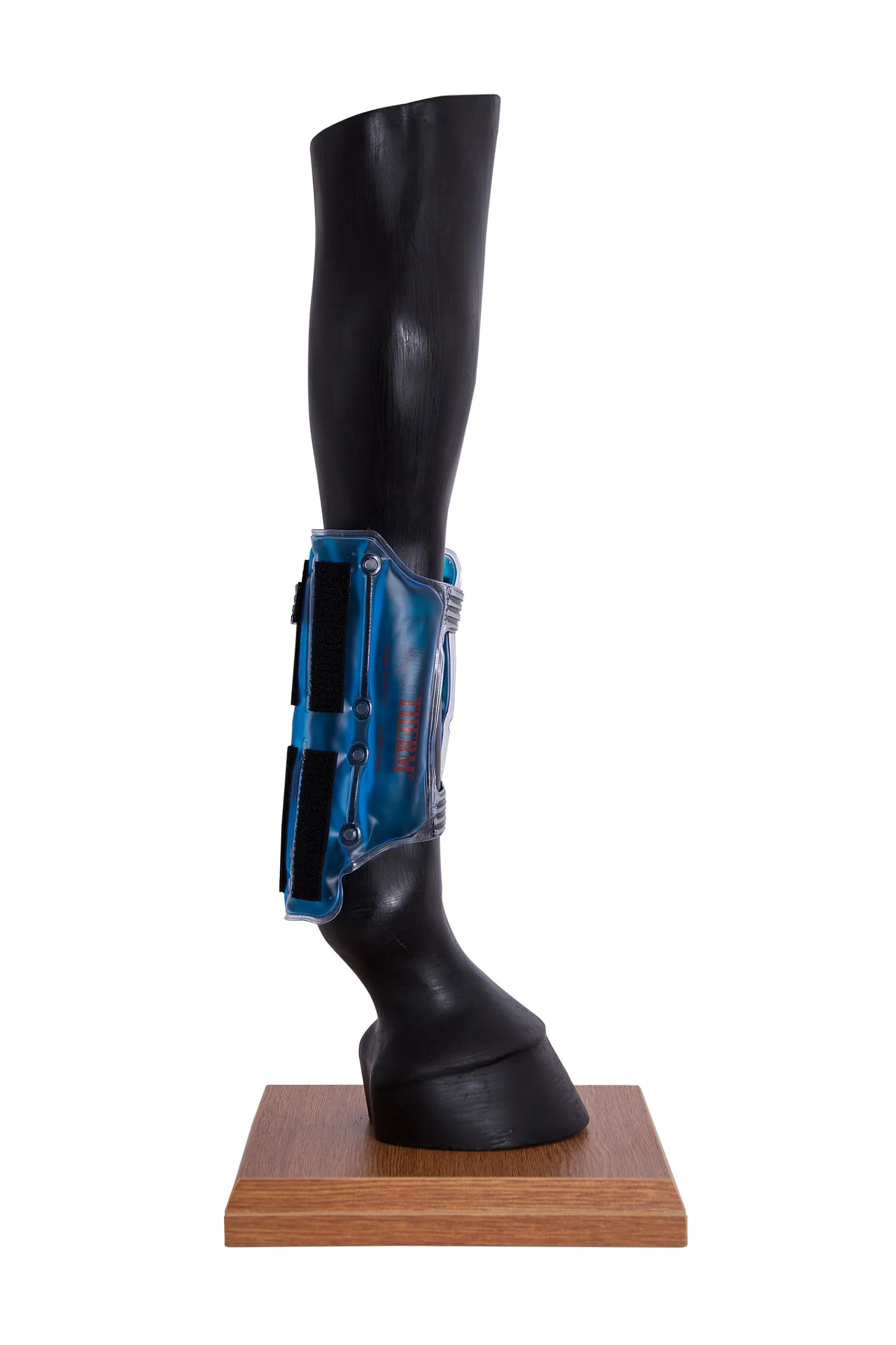 Online stassek Equitherm Kylmayspatja Tarrakiinnityksella Blue