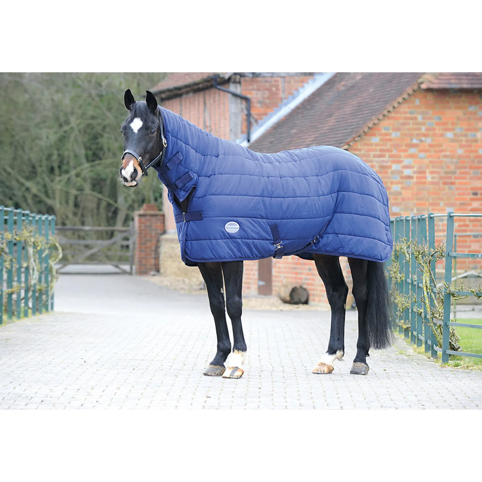 Hot weatherbeeta Combo Neck Alusloimi, Medium, 220 G Db/Ab