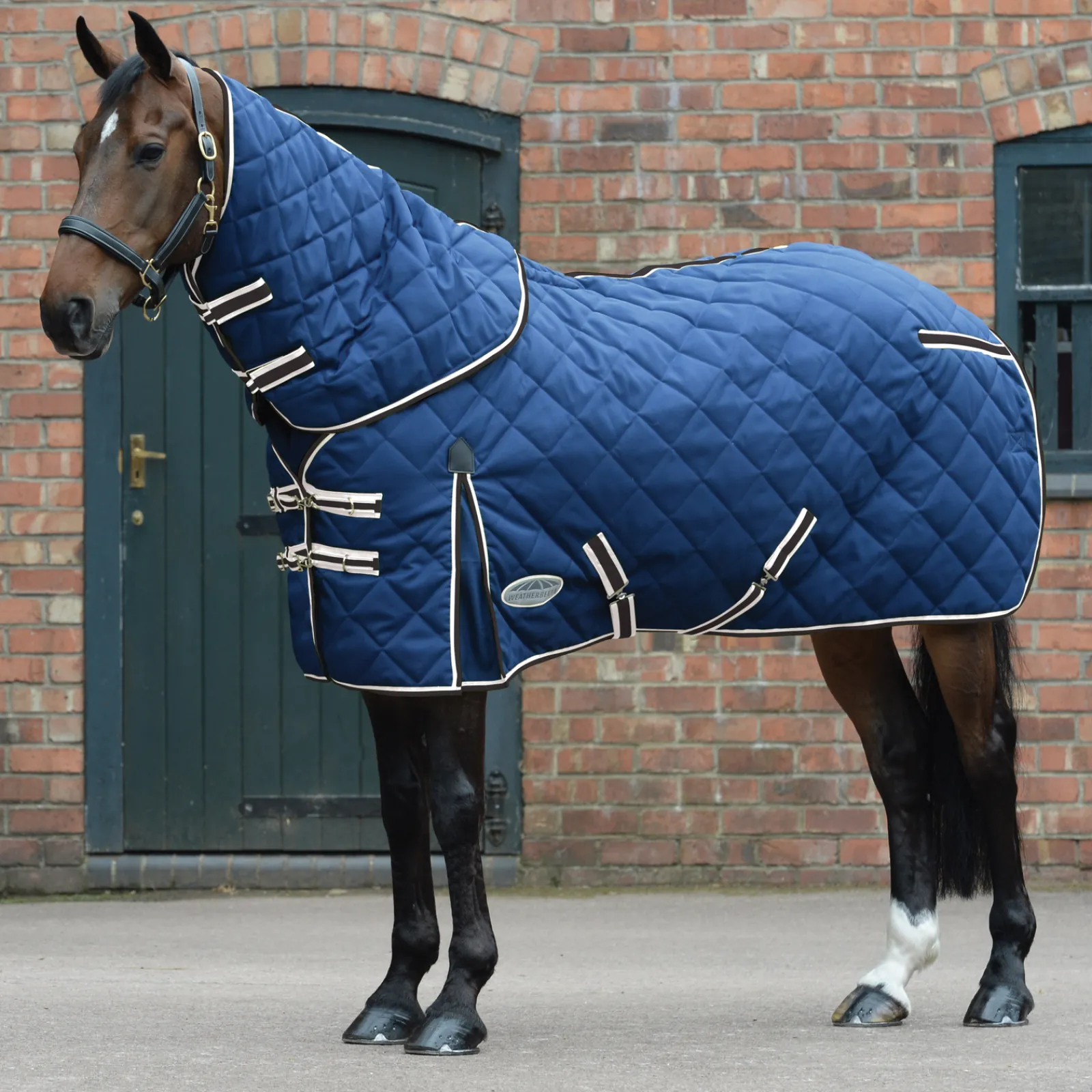 Sale weatherbeeta Comfitec 1000D Medium Ulkoloimi Irrotettavalla Kaulakappaleella, Timanttikuvioinen Tikkaus Blue/Charcoal/White