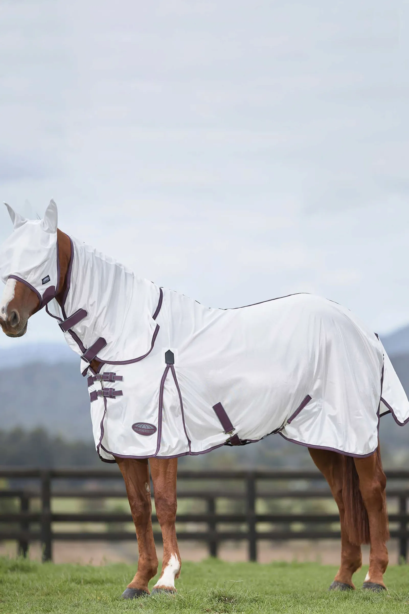 Hot weatherbeeta Comfitec Essential Mesh Ii Combo Karpasloimi Kaulakappaleella White/Dark Red