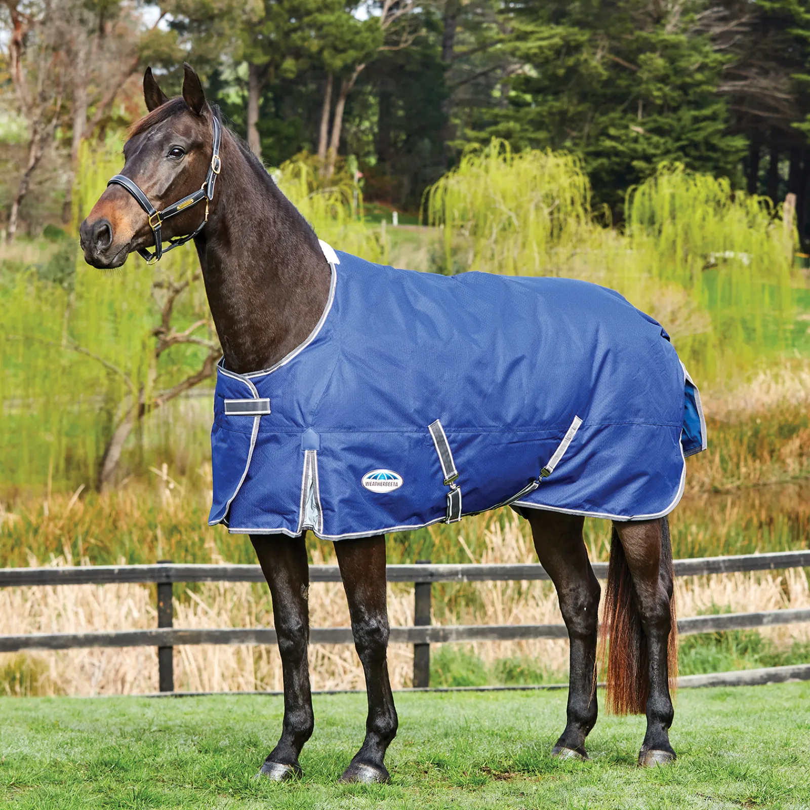 weatherbeeta Comfitec Premier Free Standard Neck Lite 0 G -Ulkoloimi Navy/Grey/White